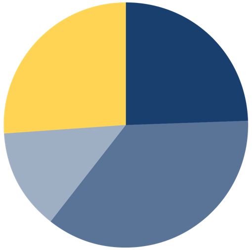 pie chart